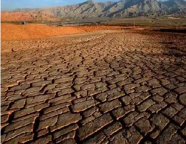 酸性土壤如何改良？