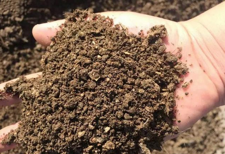 如何分析土壤團(tuán)粒結(jié)構(gòu)，土壤團(tuán)粒結(jié)構(gòu)分析方法