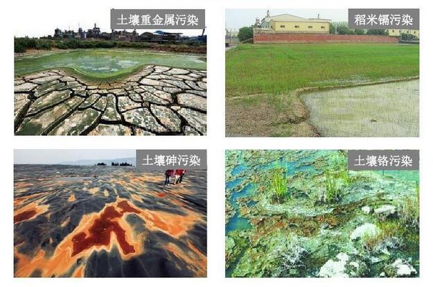 土壤重金屬污染的主要原因有哪些？