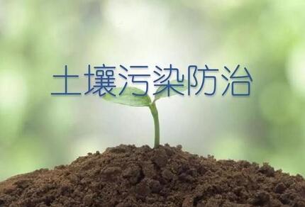 土壤重金屬超標對農(nóng)作物的影響