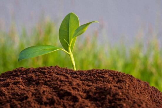 土壤活性酸和潛性酸怎么測(cè)定？