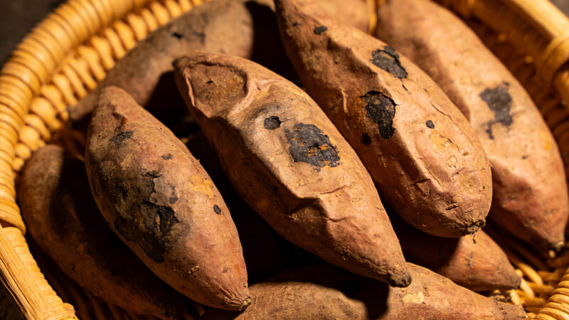 響應“毒紅薯”事件防控需求，我司優(yōu)化農藥殘留檢測方案